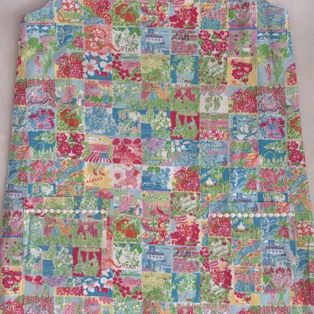 Lilly Pulitzer | State Of Mind USA Patchwork Print Classic Shift Dress (10) - Picture 5 of 16